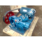 NYP轉子泵,不銹鋼高粘度泵,內環式高粘度泵