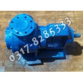 NYP高粘度泵,NYP保溫泵,NYP轉(zhuǎn)子泵