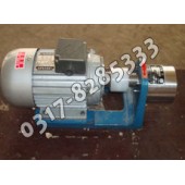 微型不銹鋼泵,小流量耐腐蝕泵,CB-B不銹鋼齒輪泵