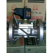 日本（VENN）閥天桃太郎電磁閥