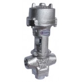 Fujita蒸汽閥P3W-RC2系列