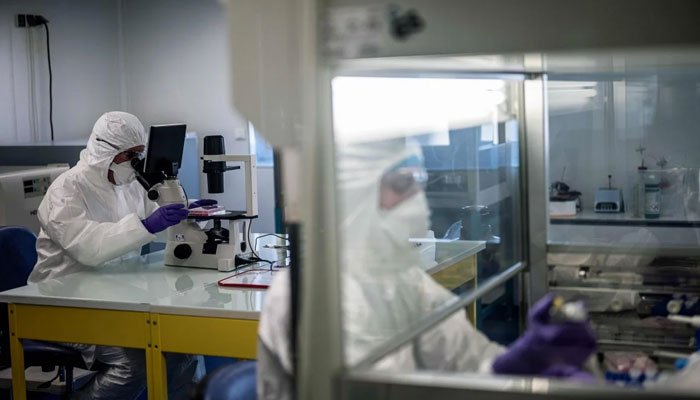 美國(guó)科學(xué) 創(chuàng)建了 個(gè) 狀病毒3D原子比例圖