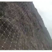 河北衡水主動防護網(wǎng)