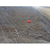 云南主動網(wǎng)