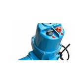 Q120-1Z開關型電動頭