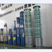 6618里茨深井泵、6613T深井潛水泵、葫蘆式井用泵選型