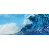 海洋環境實驗室